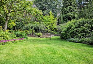 Optimiser l'expérience du jardin à Entrevaux